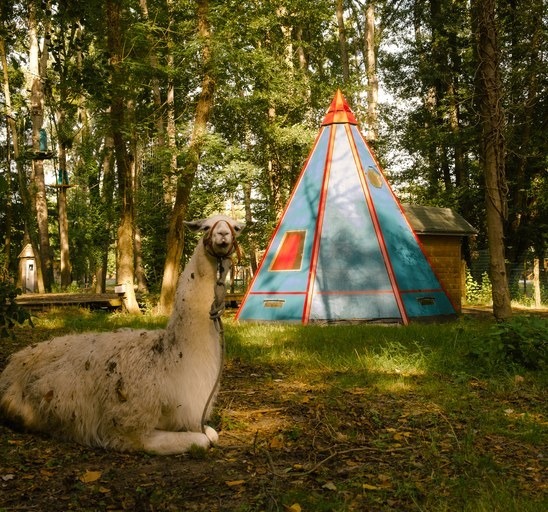 Tipi Wendake